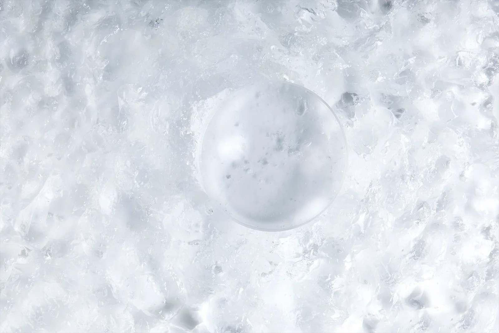 Vidapharma — image 4 of 4